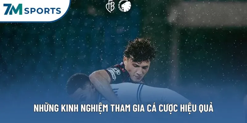 Những kinh nghiệm tham gia cá cược hiệu quả Những kinh nghiệm tham gia cá cược hiệu quả